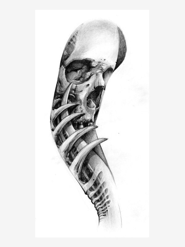 Bioanatomy by Alfredo Mojo
