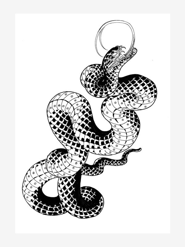 Garden Variety Snakes by Ben Lucas