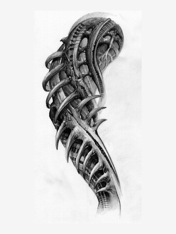 Bioanatomy by Alfredo Mojo