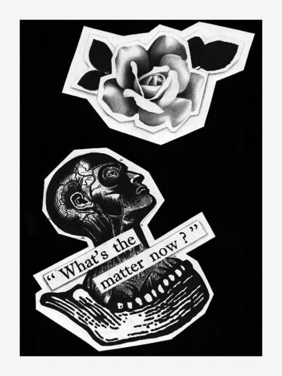 Pretty Pictures by Analogue Disaster