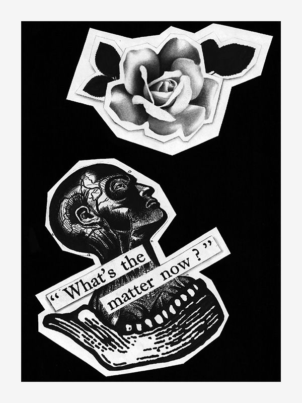 Pretty Pictures by Analogue Disaster