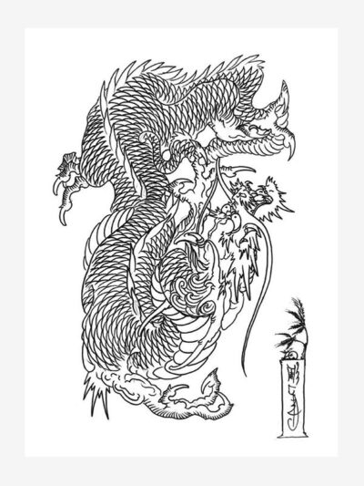 100 Dragons by Sieto
