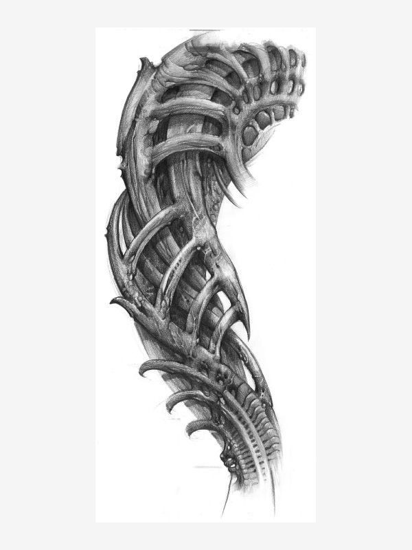 Bioanatomy by Alfredo Mojo